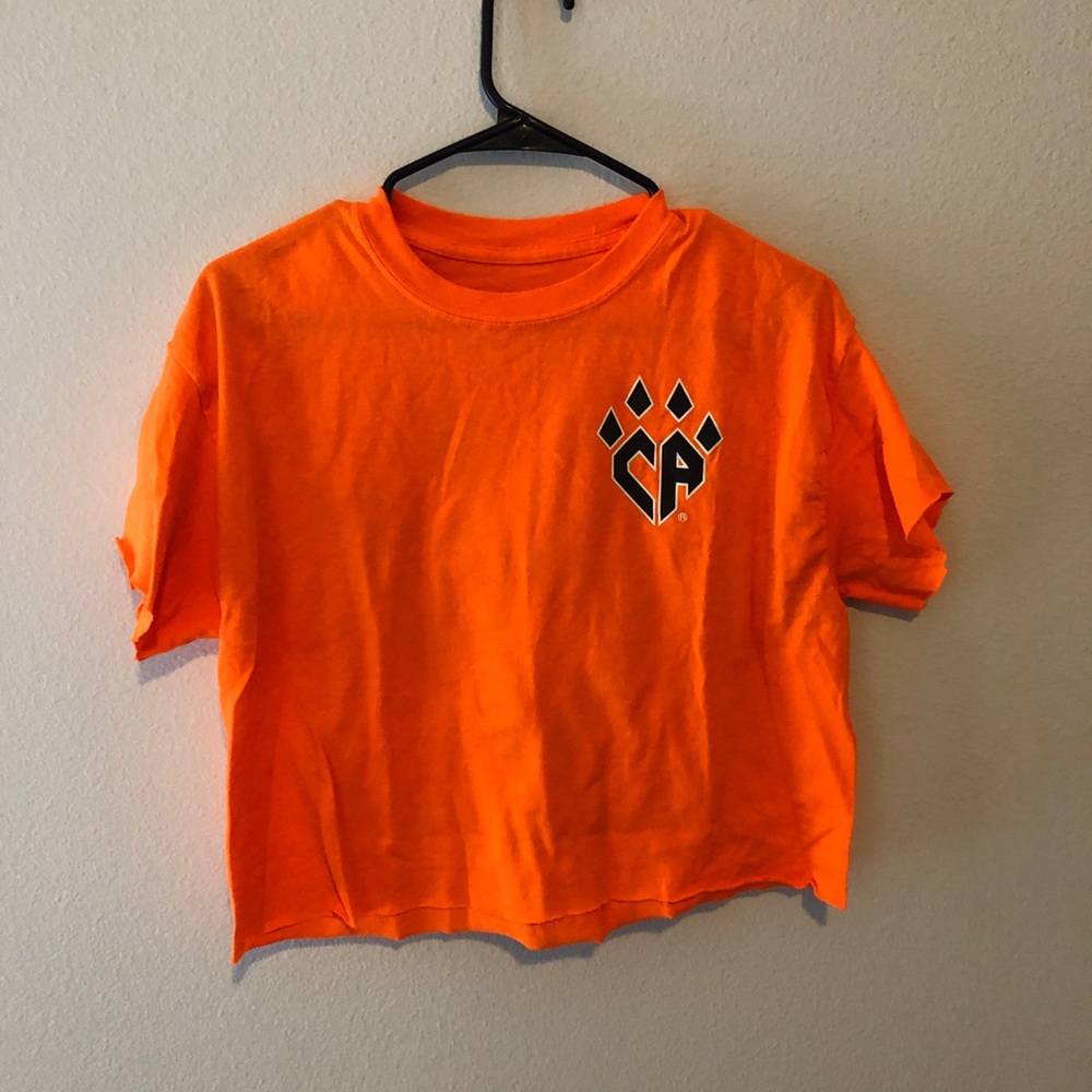 Clawstin Orange Crop Top